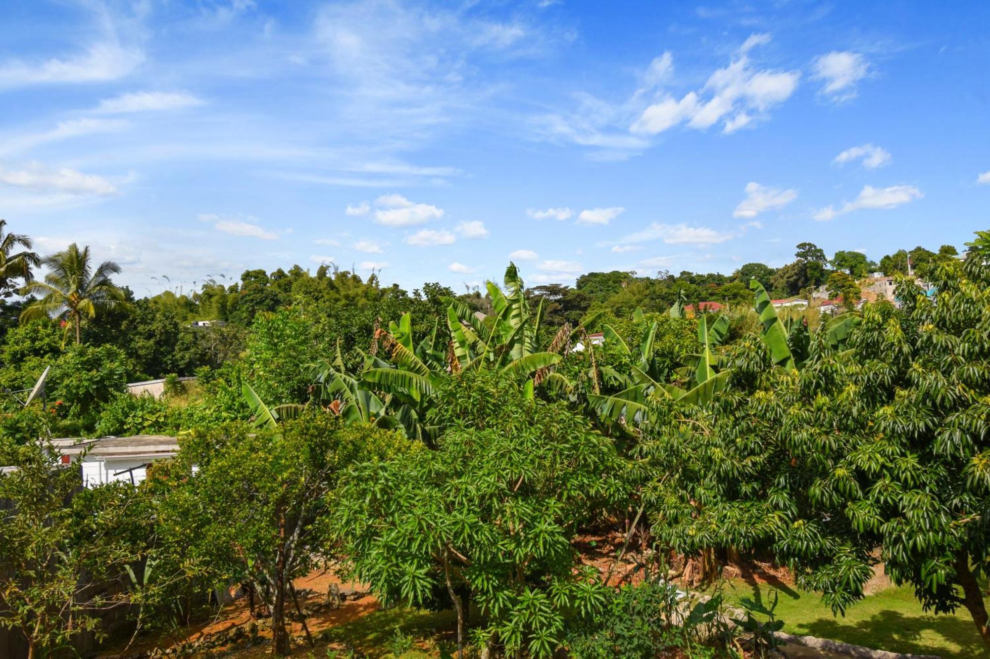 Harriott Heights Διαμέρισμα Μαντεβίλ Εξωτερικό φωτογραφία